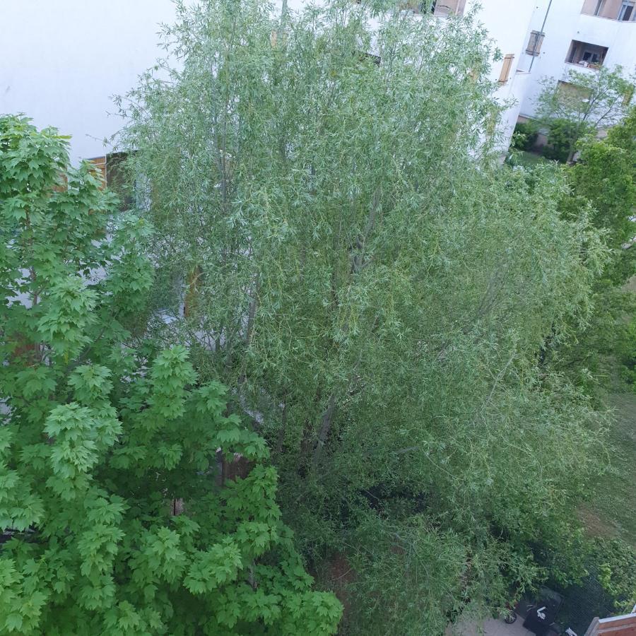 Aux Portes De Lyon Jolie T3 Clim Et Prime Video Daire Givors Dış mekan fotoğraf